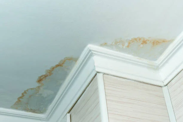 How To Repair Water Damaged Ceiling in District Heights, MD How To Repair Water Damaged Ceiling in District Heights, MD